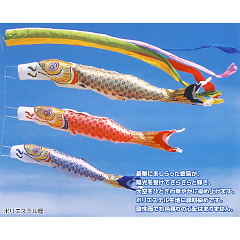こいのぼり: 黄金鯉セット（五色吹流し入り）６Ｍ  