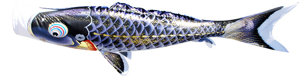 千寿　単品鯉のぼり 黒鯉
