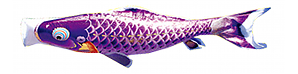 千寿　単品鯉のぼり 紫鯉