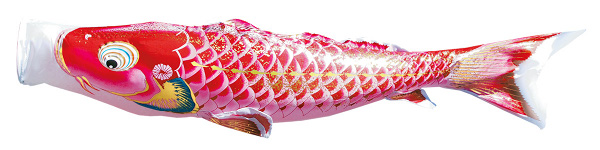 千寿　単品鯉のぼり 赤鯉