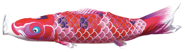 ちりめん京錦　単品鯉のぼり　ピンク鯉