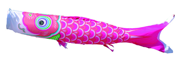 友禅鯉　単品鯉のぼり　ピンク鯉