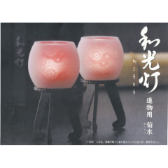 盆提灯: 和光灯　菊水