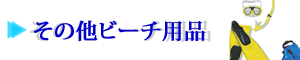 その他ビーチ用品