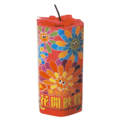 花火: 花開映蝶