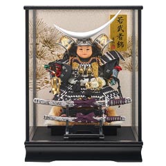 五月人形: 伊達 銀 子供大将飾り 黒塗り ガラスケース飾り オルゴール付き 【G4-12】