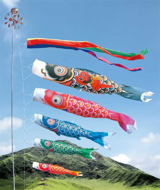 金太郎ゴールド鯉７Ｍセット