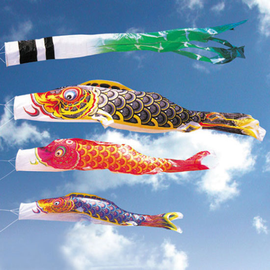 有職江戸鯉９Ｍセット