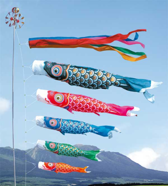 ゴールド鯉９Ｍセット