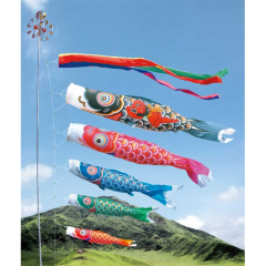 金太郎ゴールド鯉９Ｍセット