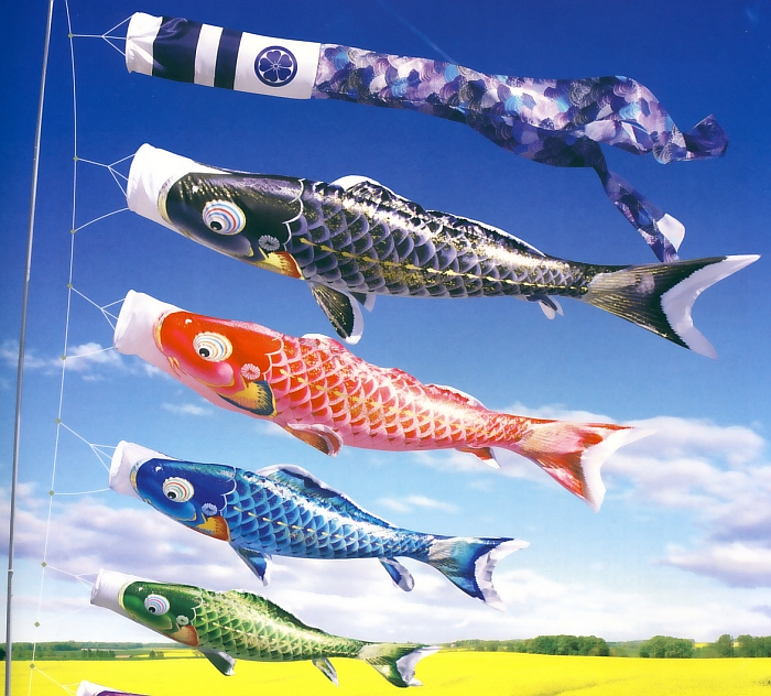 【特価!】鯉のぼり 紫 7m 特価!】鯉のぼり 紫 7m