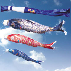 太陽１０Ｍセット