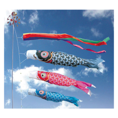 友禅鯉９Ｍセット