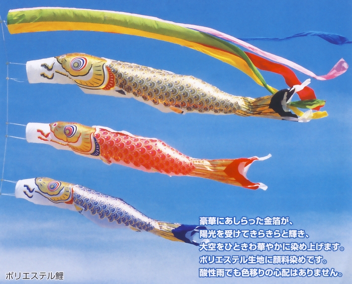 黄金鯉セット（五色吹流し入り）７Ｍ  