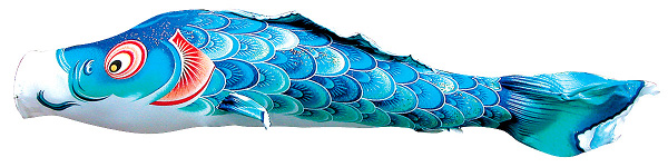 風舞い　単品鯉のぼり 青鯉