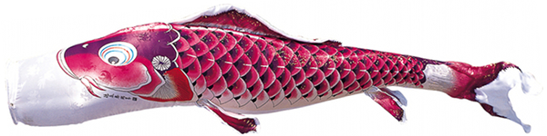 吉兆　単品鯉のぼり　紫鯉
