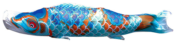 京錦　単品鯉のぼり 青鯉