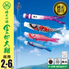 金太郎大翔鯉 2M6点ガーデンセット(杭打ち込みタイプ)【003-685】
