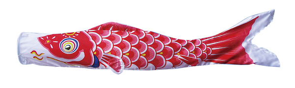 鯉のぼり　爽　赤鯉