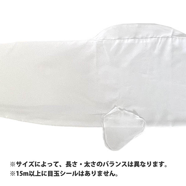お絵描きできる 白鯉 白地 無地 こいのぼり