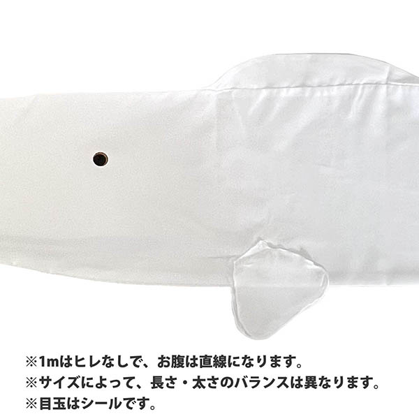 お絵描きできる 白鯉 白地 無地 こいのぼり