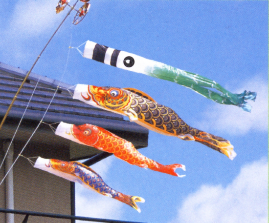 有職江戸鯉１．５Ｍロイヤルセット