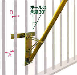 有職江戸鯉２Ｍロイヤルセット