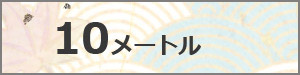 大型鯉のぼり　　10M