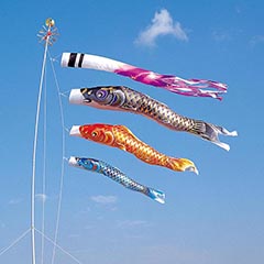 空鯉 3m6点 マイホーム庭園用セット(杭打ち込みタイプ)