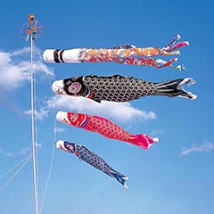 さんさん鯉 3m6点 マイホーム庭園用セット(杭打ち込みタイプ)