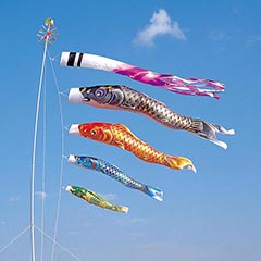 こいのぼり: 空鯉 ３Mセット