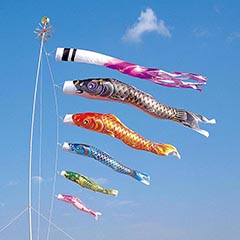 こいのぼり | 大きなサイズのこいのぼり(ポール別売) | 5M | 雛人形 こいのぼり | 大きなサイズのこいのぼり(ポール別売) | 5M | 雛人形