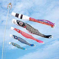こいのぼり: スパークル鯉 ３Mセット