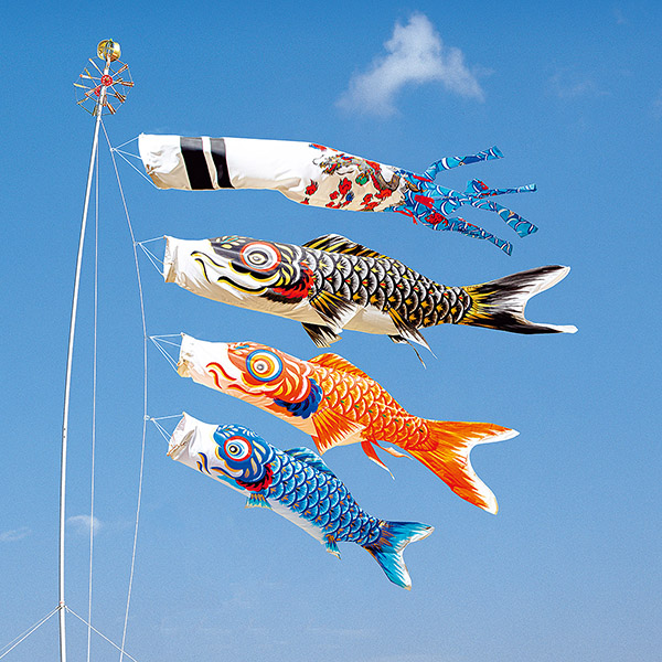 金昇龍手描鯉 3Mセット