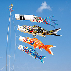 こいのぼり | 大きなサイズのこいのぼり（ポール別売） | 3M | 雛人形