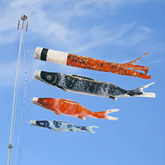こいのぼり: 出世鯉 2M ベランダ用スタンドセット