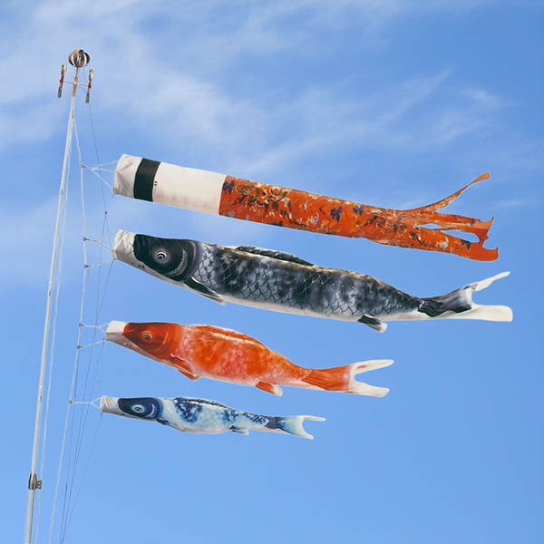 ワダエミ監修 久月オリジナル 出世鯉 5Mセット【ポール別売り】