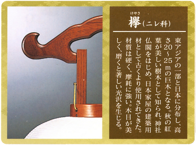 銘木欅朝顔10号絹二重描き絵桐箱入（木製・電気コード式）