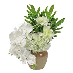 盆提灯: ルミナス 胡蝶蘭 葵 光触媒 陶器製花瓶 電気コード式（LED仕様）