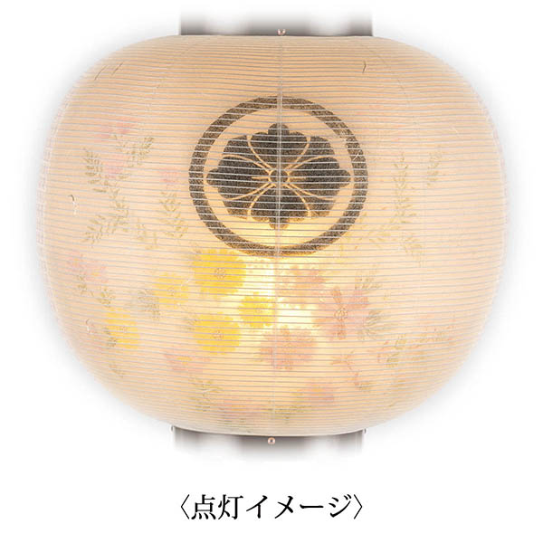 盆提灯 樹峰 ほおずき提灯 ダークブラウン 絹二重 彩紫コスモス 詳細画像 樹峰 盆提灯 ほおずき提灯 ダークブラウン 絹二重 彩紫コスモス 詳細画像