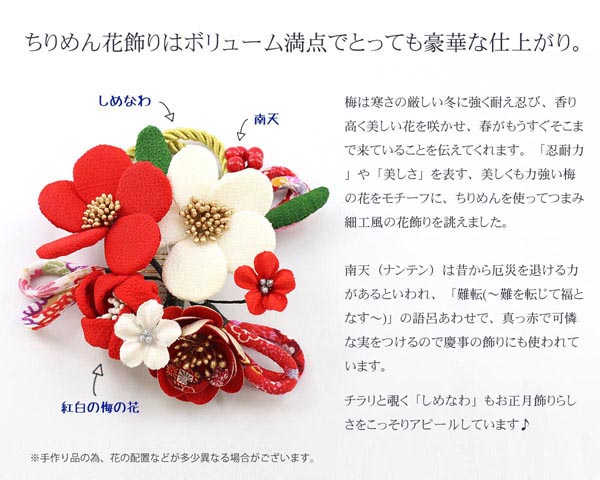 守田　 羽子板　ちりめん細工髪飾り付き パール白/ピンク塗り アクリルケース　詳細画像