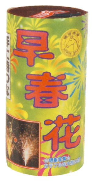 早春花