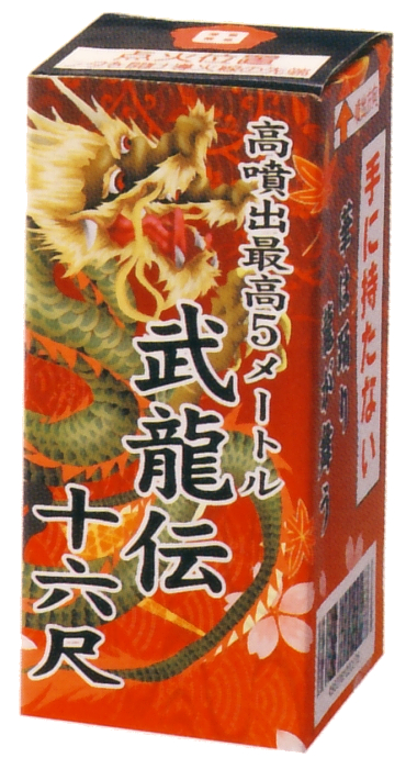 武龍伝十六尺
