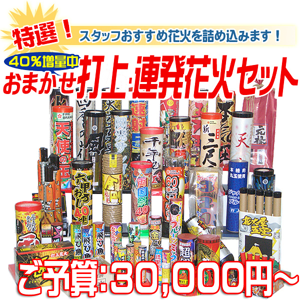 内容おまかせ　特選打上・連発花火セット　ご予算：30,000円～