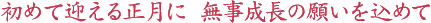 久月破魔弓